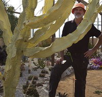 Cactus Country - Tourism TAS