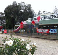 The Big Strawberry - Hobart Tourism