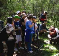 Warrumbungle National Park Discovery Program - Tourism TAS