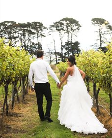 Quoin Hill Vineyard - Hobart Tourism 2