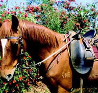 Western Plains Riding Centre - Hobart Tourism