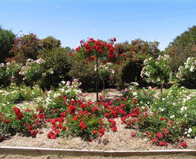 Barooga Botanical Gardens - Hobart Tourism 2