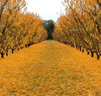 Sun Country on the Murray Farm Gate Trail - Hobart Tourism