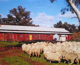 Savernake Day Tours - Tourism TAS 1