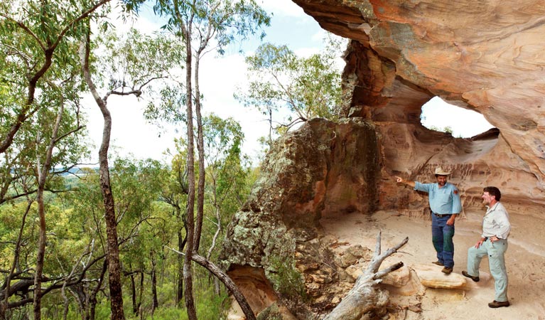 Dandry NSW Tourism TAS