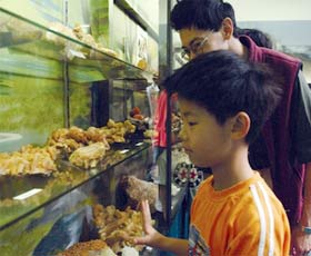 Crystal Kingdom - Hobart Tourism 2