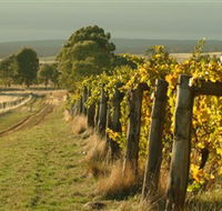 Captains Creek Organic Wines - Tourism TAS