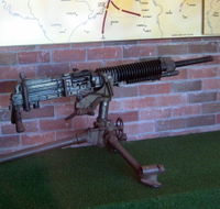 Woodpecker Gun - Tourism TAS