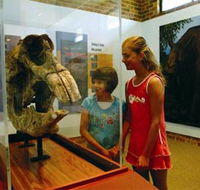 Australian Museum Diprotodon Exhibition - Tourism TAS