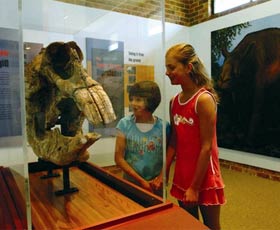 Australian Museum Diprotodon Exhibition - Tourism TAS 0