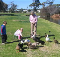 Roy Little Park Merredin - Tourism TAS