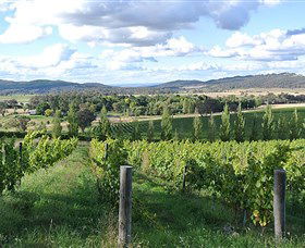 Sassy Wines - Tourism TAS 0
