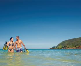 Snorkelling On Keswick Island - Tourism TAS 0