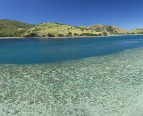 Snorkelling On Keswick Island - Tourism TAS 1