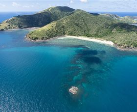 Snorkelling On Keswick Island - Tourism TAS 2