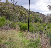 Lynchs loop trail - Tourism TAS