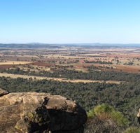 Basin Gully to Eualdrie lookout track - Tourism TAS