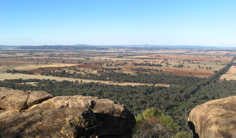Basin Gully To Eualdrie Lookout Track - Hobart Tourism 0