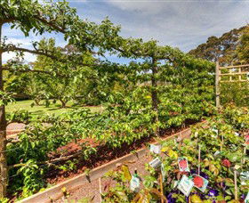 Springhill Nursery - Tourism TAS 5