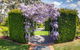 Springhill Nursery - thumb 7