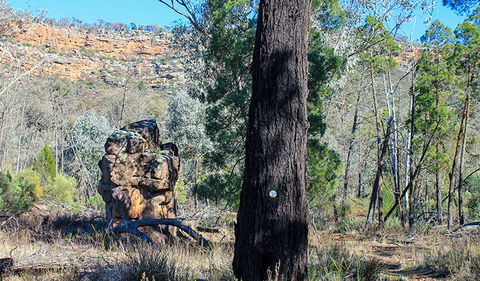 Eualdrie Walking Track - Hobart Tourism 0