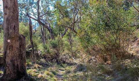 Eualdrie Walking Track - Hobart Tourism 1