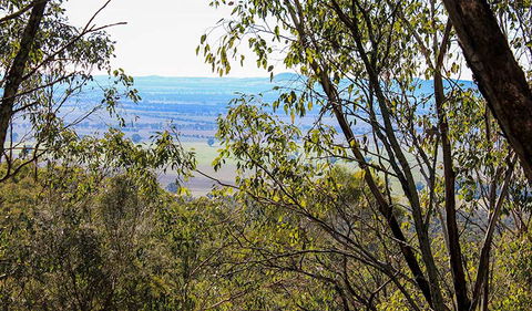 Eualdrie Walking Track - Hobart Tourism 2