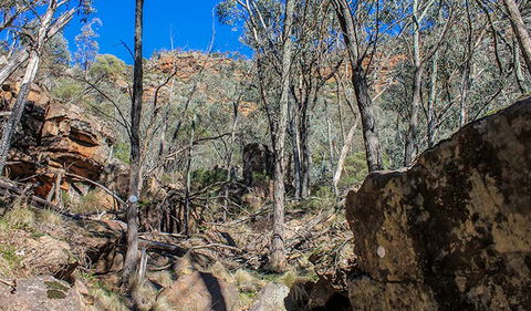 Eualdrie Walking Track - Hobart Tourism 3