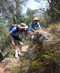 Mount Arthur Reserve - Tourism TAS 0