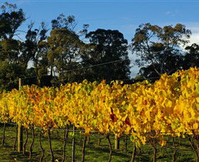 Paramoor Winery - Tourism TAS 3