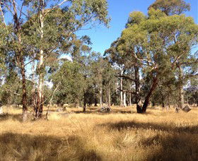 Paramoor Winery - Tourism TAS 4