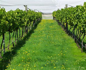 Paramoor Winery - Tourism TAS 6