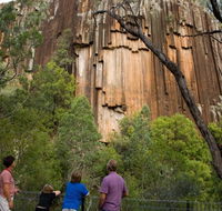 Sawn Rocks walking track - Tourism TAS