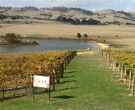 Grange Cleveland Winery - Tourism TAS 1