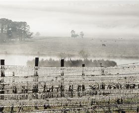 Grange Cleveland Winery - Tourism TAS 7