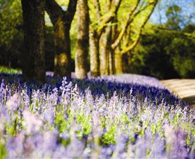 Duneira, Mt Macedon - Tourism TAS 4