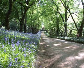 Duneira, Mt Macedon - Tourism TAS 3