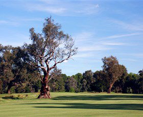 Corowa Golf Club - Tourism TAS 5