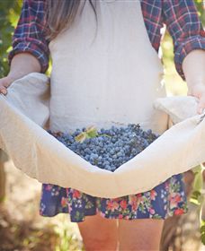 Lake Moodemere Estate - Hobart Tourism 1