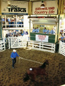 Gracemere Exhibition Complex - Tourism TAS 0
