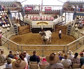 Gracemere Exhibition Complex - Tourism TAS 1