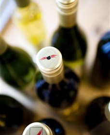 Charles Sturt University Winery Wagga Wagga - Tourism TAS 2