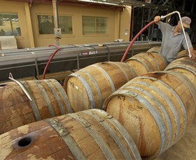 Charles Sturt University Winery Wagga Wagga - Tourism TAS 1