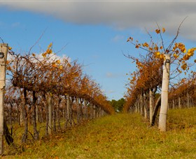 Charles Sturt University Winery Wagga Wagga - Tourism TAS 3