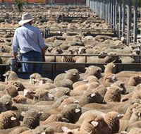 Livestock Marketing Centre - Tourism TAS