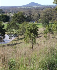 Mt Piper Nature Conservation Reserve - Tourism TAS 1