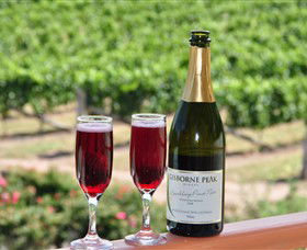 Gisborne Peak Winery - Tourism TAS 2