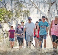 Winton Wetlands Reserve - Tourism TAS