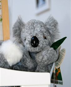 Timboon Toybox - Hobart Tourism 1