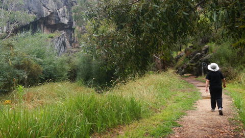 Borenore Karst Conservation Reserve - Tourism TAS 3